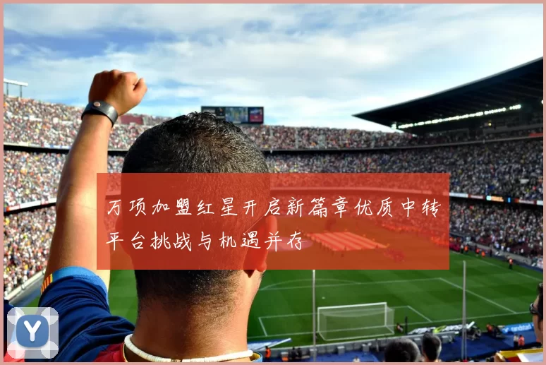 万项加盟红星开启新篇章优质中转平台挑战与机遇并存